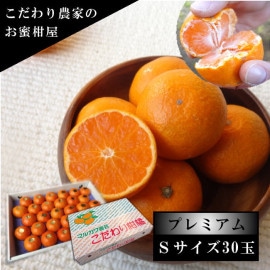 �ھ����ֹ棵�������д�������β���Ȣ���ӥ������������ץ�ߥ��ࡡ������