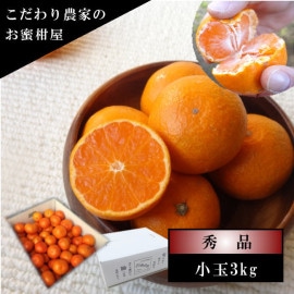 �ھ����ֹ棵�������д�������Υ��ե�Ȣ�����̥����������ʡ������