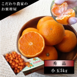 �ھ����ֹ棵�������д������쥮��顼Ȣ�����̥����������ʡ������