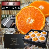 �ھ����ֹ棳����̪���������β���Ȣ�����̥����������ʡ�������