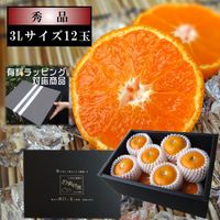 �ھ����ֹ棳����̪���������β���Ȣ����ˡ����̥����������ʡ���������