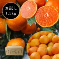 ھֹ棱̪Ĵݡ硡ʡ󣱡