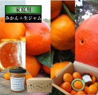 �ھ����ֹ棱������-1�ۡھ��̤���ʡۤ������Τ��ߤ���̼�Ȣ���͵����ʼ�Ȳ����������������εͤ��碌�����������硡�������ѡ������