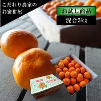 �ھ����ֹ棱�����۽���̣��������ʡ�����������ʣ��ӡ����̡ˡ��󣵣����