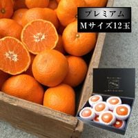 �ھ����ֹ棸�����۽���Ϻ�����β���Ȣ����ˡ�M�������������ץ�ߥ��ࡡ������