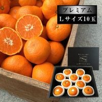 �ھ����ֹ棸�����۽���Ϻ�����β���Ȣ���̥������������ץ�ߥ��ࡡ������