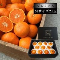 �ھ����ֹ棸�����۽���Ϻ�����β���Ȣ����ˡ�M�������������ץ�ߥ��ࡡ������