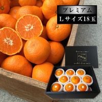 �ھ����ֹ棸�����۽���Ϻ�����β���Ȣ����ˡ��̥������������ץ�ߥ��ࡡ������