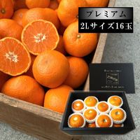 すべての商品 | こだわり農家のお蜜柑屋本店