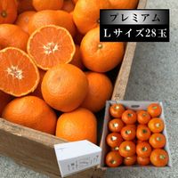 �ھ����ֹ棸�����۽���Ϻ����Υ��ե�Ȣ���̥������������ץ�ߥ��ࡡ������