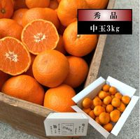 �ھ����ֹ棸�����۽���Ϻ����Υ��ե�Ȣ����̡ʣ͡��̡˥����������ʡ������