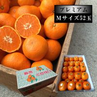 �ھ����ֹ棸�����۽���Ϻ���쥮��顼Ȣ���ͥ������������ץ�ߥ��ࡡ������