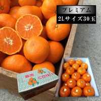 �ھ����ֹ棸�����۽���Ϻ���쥮��顼Ȣ�����̥������������ץ�ߥ��ࡡ������