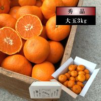 �ھ����ֹ棸�����۽���Ϻ����Υ��ե�Ȣ����̡ʣ��̡����̡˥����������ʡ������