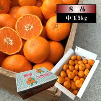 �ھ����ֹ棸�����۽���Ϻ���쥮��顼Ȣ����̡ʣ͡��̡˥����������ʡ������