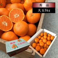 �ھ����ֹ棸�����۽���Ϻ���쥮��顼Ȣ����̡ʣ��̡����̡˥����������ʡ������