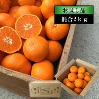 �ھ����ֹ棸�����۽���Ϻ����Ȣ�����������硡����ʡ������