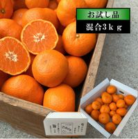 �ھ����ֹ棸�����۽���Ϻ����Υ��ե�Ȣ�����������硡����ʡ������