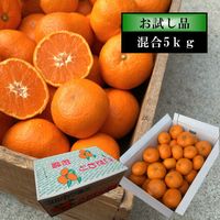 �ھ����ֹ棸�����۽���Ϻ���쥮��顼Ȣ�����������硡����ʡ������