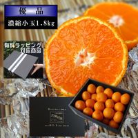 �ھ����ֹ棴����̪���������β���Ȣ����˶˴ž���(2S��S������)��ͥ�ʡ��󣱡����������