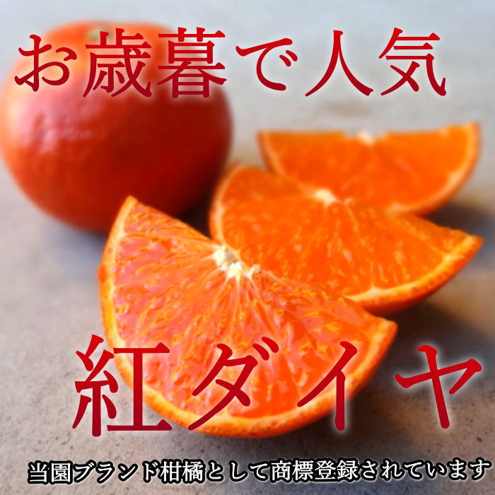 �ھ����ֹ棲�����۹ȥ����䡡��Υ��ե�Ȣ�����������硡��ͥ�����ʡ��󣳣����