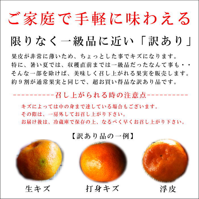 �ھ����ֹ棳����̪���������������硡�������ʡ��󣱣������