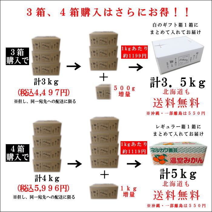 �ھ����ֹ棳����̪���������������硡�������ʡ��󣱣������