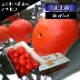 �ھ����ֹ棲�����۹ȥ����䡡�쥮��顼Ȣ�����������硡��ͥ�����ʡ��󣵣����