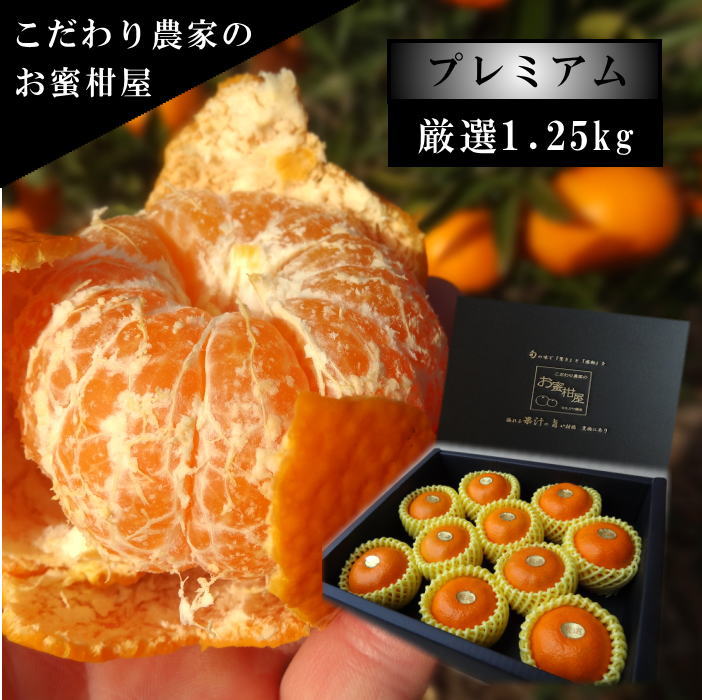 �ھ����ֹ棳�����ۼ����������β���Ȣ�����������ޤ����������ץ�ߥ��ࡡ�󣱡����������