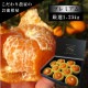 �ھ����ֹ棳�����ۼ����������β���Ȣ�����������ޤ����������ץ�ߥ��ࡡ�󣱡����������