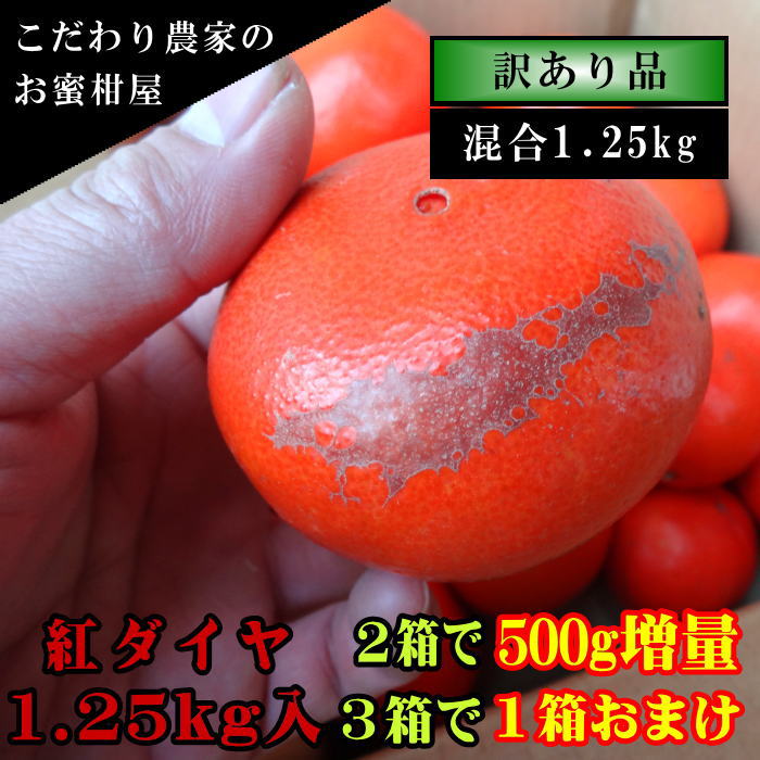 �ھ����ֹ棲�����۹ȥ����䡡���������硡�������ʡ��󣱡����������