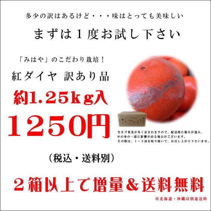 �ھ����ֹ棲�����۹ȥ����䡡���������硡�������ʡ��󣱡����������