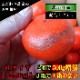 �ھ����ֹ棲�����۹ȥ����䡡���������硡�������ʡ��󣱡����������