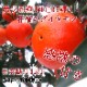 �ھ����ֹ棲�����۹ȥ����䡡���������硡�������ʡ��󣱡����������
