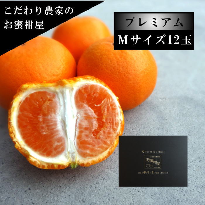 ھֹ棳̪Ƿ˾βȢˡͥץߥࡡ