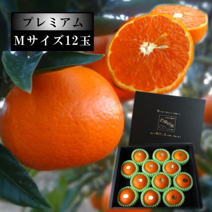 �ھ����ֹ棳������̪Ƿ˾�����β���Ȣ����ˡ��ͥ������������ץ�ߥ��ࡡ��������