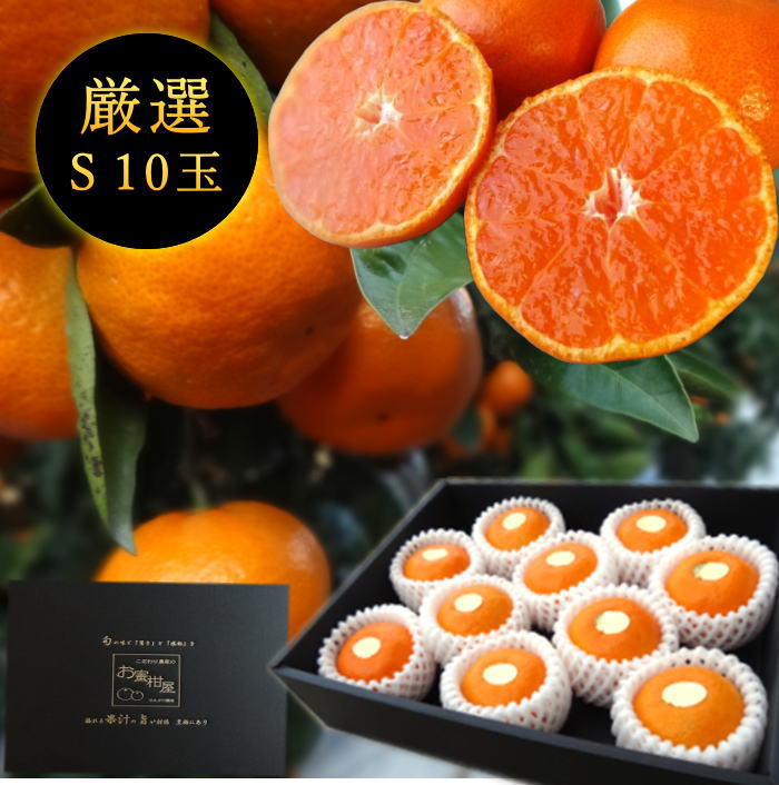 �ھ����ֹ棱������̪�Ĵݡ����β���Ȣ�ʾ��ˡ��ӥ������������ץ�ߥ��ࡡ��������