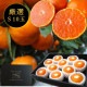 �ھ����ֹ棱������̪�Ĵݡ����β���Ȣ�ʾ��ˡ��ӥ������������ץ�ߥ��ࡡ��������