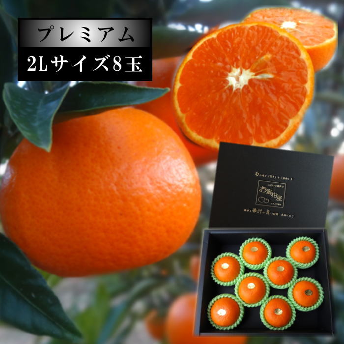 �ھ����ֹ棳������̪Ƿ˾�����β���Ȣ�����̥������������ץ�ߥ��ࡡ������