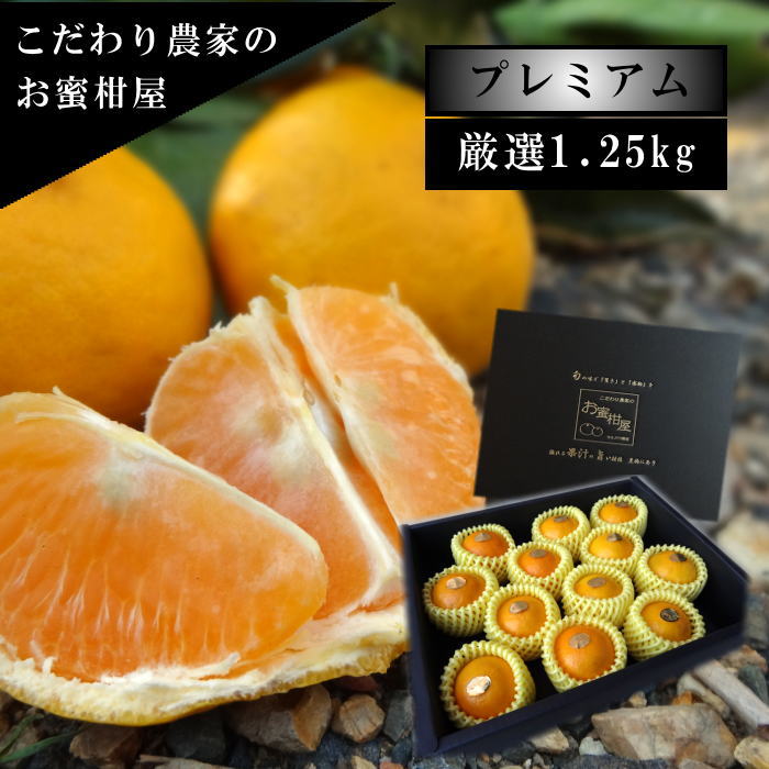 �ھ����ֹ棳�����۽��޴������β���Ȣ�����������ޤ����������ץ�ߥ��ࡡ�󣱡����������