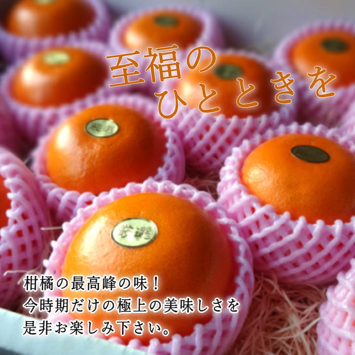 �ھ����ֹ棴�������ڽϤ��Ȥ������β���Ȣ�����������ޤ����������ץ�ߥ��ࡡ�󣱡��������