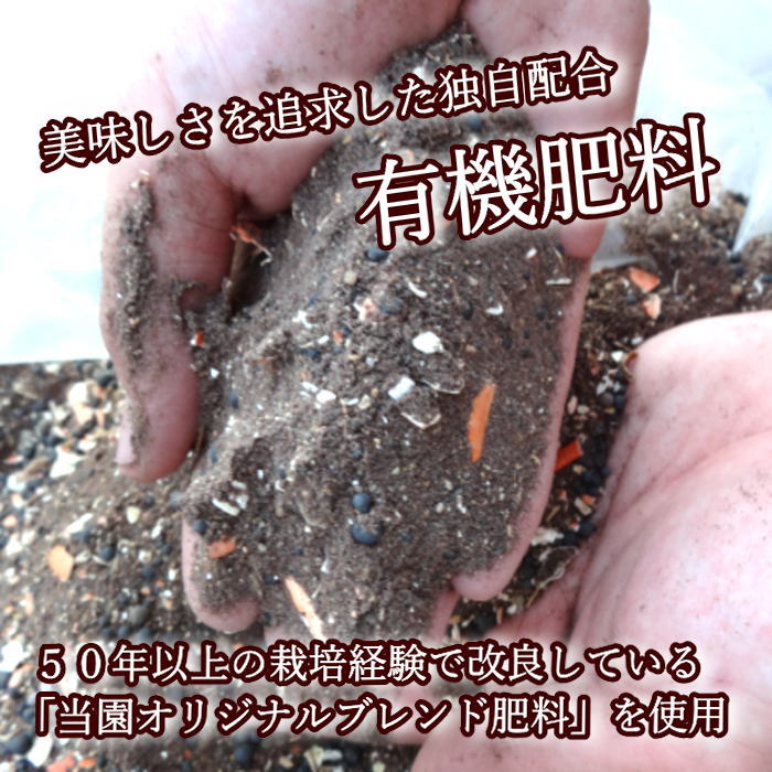 �ھ����ֹ棱����̪��������Υ��ե�Ȣ�����ӥ����������ʡ���������