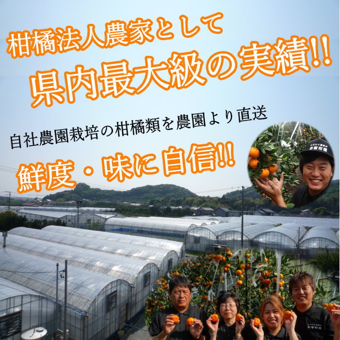 �ھ����ֹ棱����̪��������Υ��ե�Ȣ�����ӥ����������ʡ���������