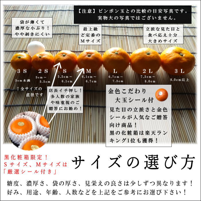 �ھ����ֹ棱����̪��������Υ��ե�Ȣ�����ӥ����������ʡ���������