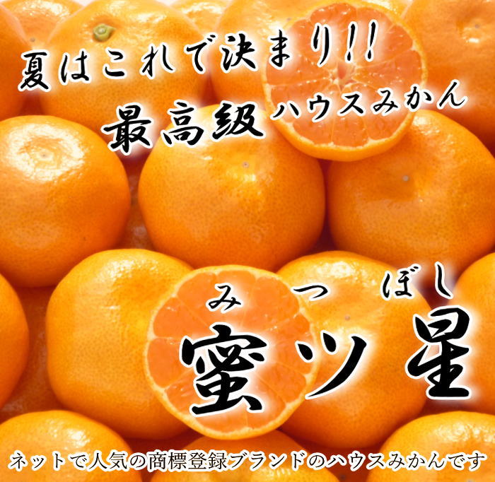 �ھ����ֹ棱����̪��������Υ��ե�Ȣ�����ӥ����������ʡ���������