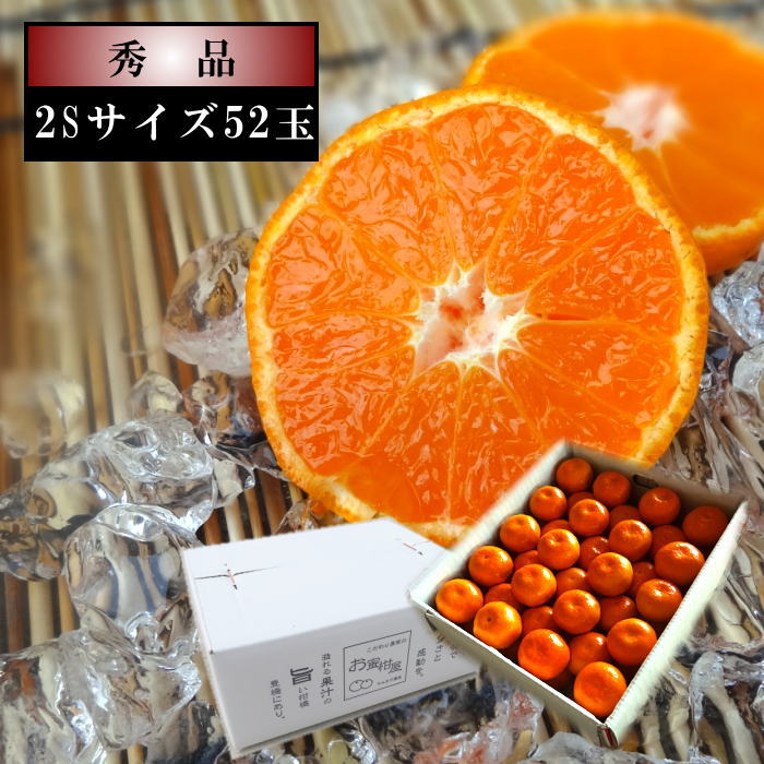 �ھ����ֹ棱����̪��������Υ��ե�Ȣ�����ӥ����������ʡ���������