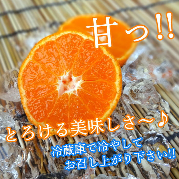 �ھ����ֹ棱����̪��������Υ��ե�Ȣ�����ӥ����������ʡ���������