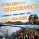 �ھ����ֹ棱����̪��������Υ��ե�Ȣ�����ӥ����������ʡ���������