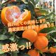�ھ����ֹ棱����̪��������Υ��ե�Ȣ�����ӥ����������ʡ���������
