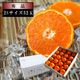 �ھ����ֹ棱����̪��������Υ��ե�Ȣ�����ӥ����������ʡ���������